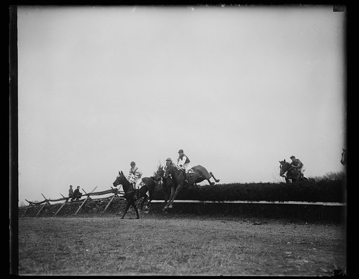 Horses jumping