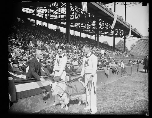 Charles F. Adams greeting Navy goat from stands