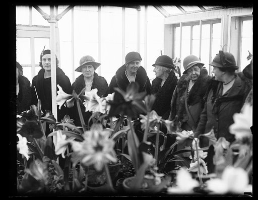 Mrs. Herbert Hoover and cabinet ladies at amaryllis show. The First Lady of the land and ladies of the cabinet viewed the beautiful blooms at the Department of Agriculture amaryllis show in Washington today. In the photograph, left to right; Mrs. Ogden L. Mills, wife of the Secretary of the Treasury