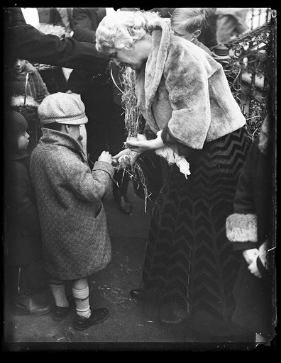 Lou Hoover