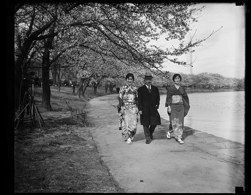 Japanese Ambassador Katsuji and daughter to see cherry blossoms
