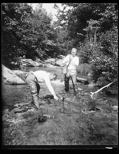 Fishing