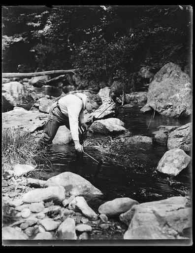 Fishing