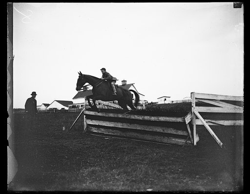 Horse jumping