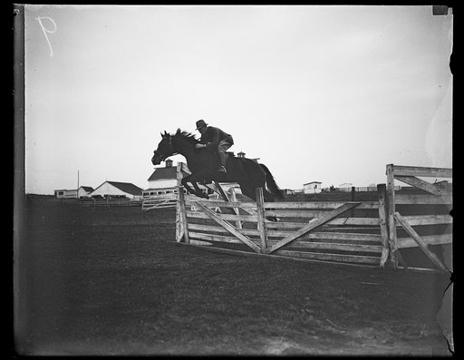 Horse jumping