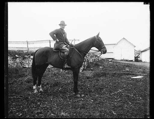 Man on horseback