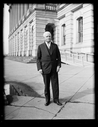 Man at U.S. Capitol, Washington, D.C.