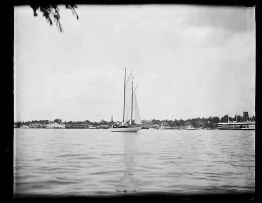 Sailboat, Potomac River