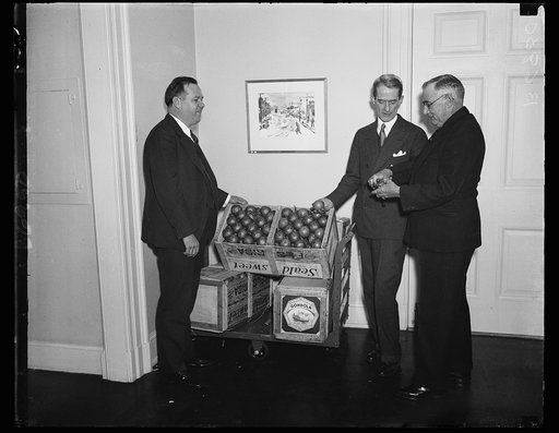 Rep. J. Hardin Peterson, Marvin McIntyre (Sec. to Pres.) Rep. William J. Sears. 1935