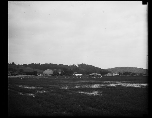 It rained at Bolling Field. Several successive days of rain in Washington turned Bolling field, the military airport, into a semi-marsh which attracted the interest of passing crane, which can be seen here resting in the water on the field. No damage was reported, although extensive preparations wer