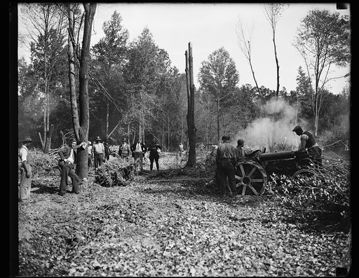 Wash. D.C. A new town is started. This crew of swampers is busy clearing out trees and stumps to make a place for the erection of a new town by the government, popularly termed "Tugwelltown." It is located near the District of Columbia in Maryland. 10/15/35