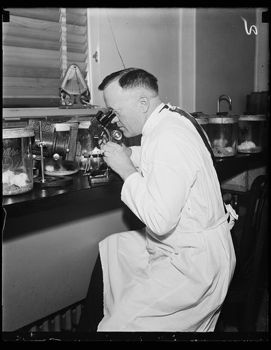 Public Health Surgeon. Dr. Charles Armstrong, Public Health Surgeon and Specialist on virus diseases, photographed in the laboratory in Wash. D.C. 10/29/35