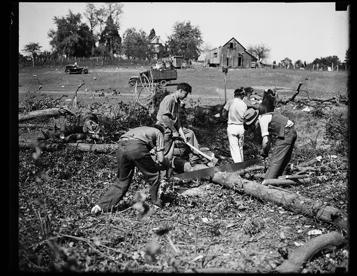 Work starts at "Tuggwelltown." Workers are busy clearing land near the District of Columbia line in Maryland for the construction of the government-owned project popularly called "Tuggwelltown," It is a project of the Rehabilitation Administration