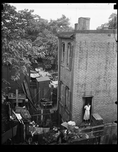 Wash. D.C. Alley dwelling. This photograph shows the front door of an alley dwelling. The clutter of filth, debris and tin cans allhave highly utilitarian purposes. Many of the houses are without gas, water, or electric connections. 11/28/35