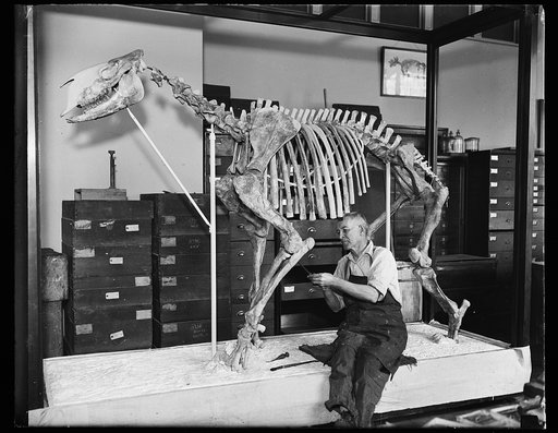 Man with animal skeleton
