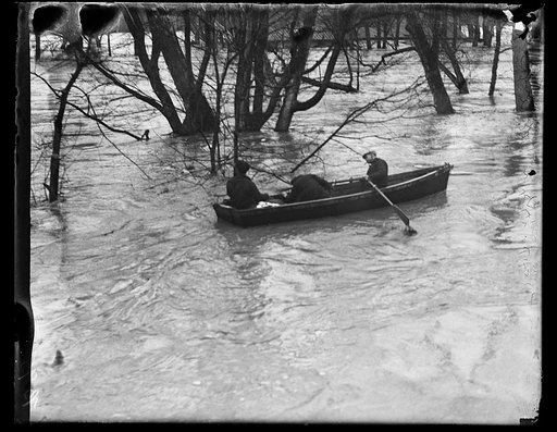 Flooding, Potomac River, Washington, D.C.