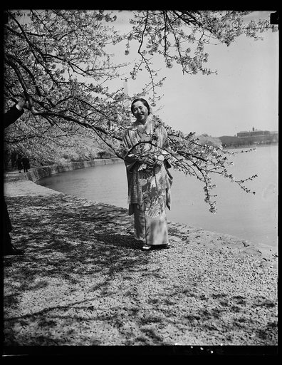 Woman with Cherry blossoms, Washington, D.C.
