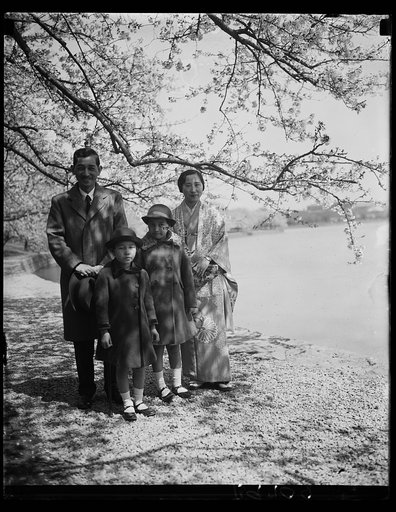 Cherry blossoms, Washington, D.C.