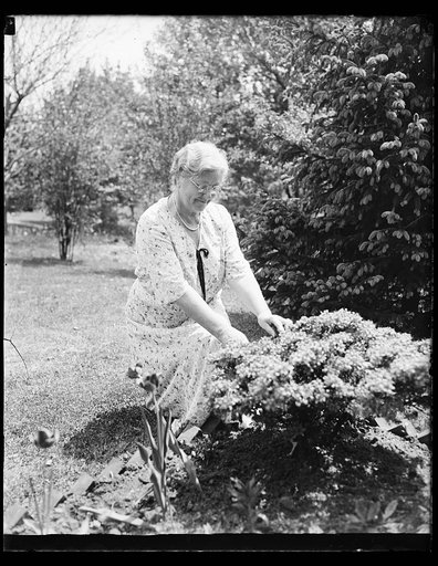 Woman in garden