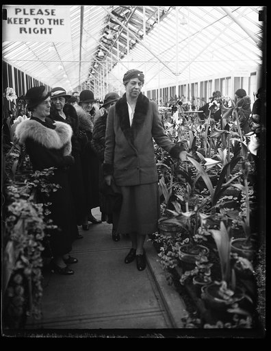 MRS. F.D. ROOSEVELT AT AMARYLLIS SHOW