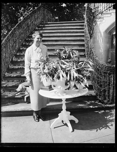 LILIES FROM BERMUDA. MRS. FRANKLIN D. ROOSEVELT POSES WITH THE EASTER LILIES SENT HER BY THE GOVERNOR OF BERMUDA, HIS EXCELLENCY SIR THOMAS ESTLEY CUBITT