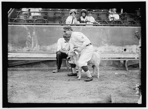 William "Germany" Schaefer, Washington AL (baseball)