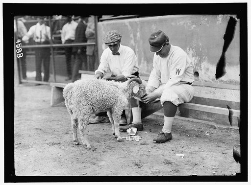 William "Germany" Schaefer, Washington AL (baseball)