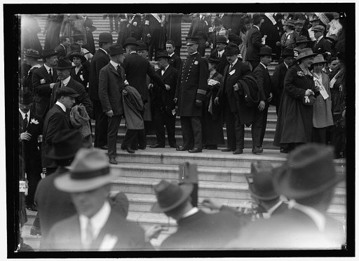 GROUP ON CAPITOL STEPS