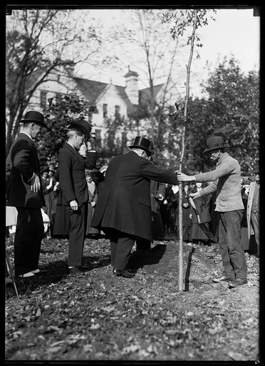 Edward, Prince of Wales, planting a tree at the National Cathedral during his 1924 tour of the United States