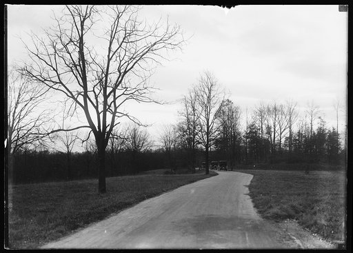 Automobiles on roadway