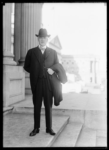 Man at U.S. Capitol, Washington, D.C.