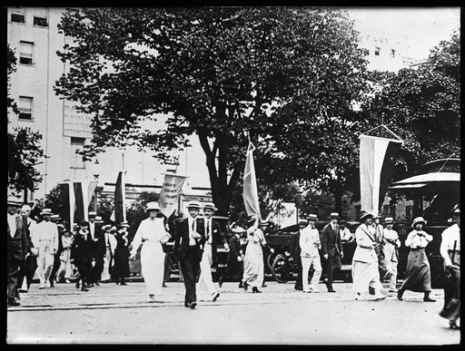 White House pickets of the Congressional Union for Woman Suffrage, Washington, D.C.