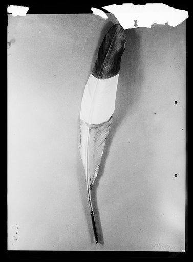 Feather pen