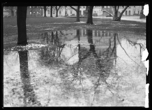 Standing water at U.S. Capitol, Washington, D.C.