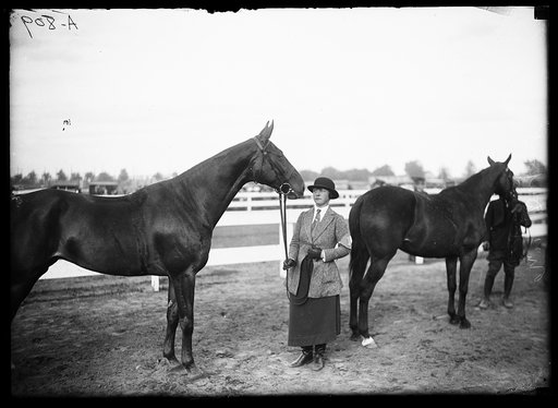Horse event