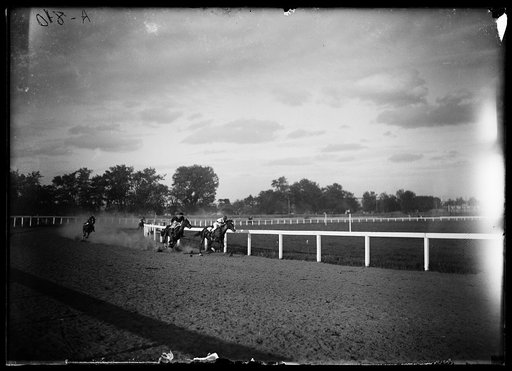 Horse race