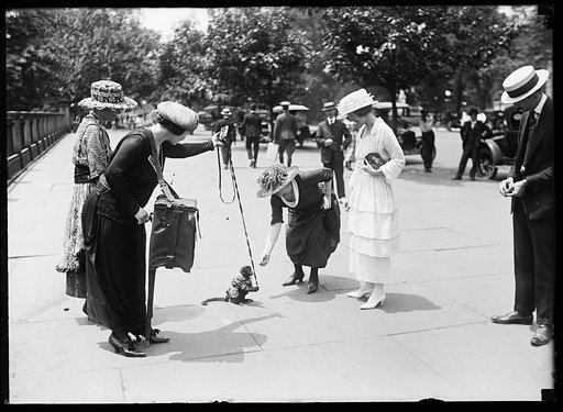Woman with chimp and sign "Help Casulty Hospital"