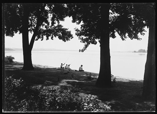 Tidal Basin, Washington, D.C.