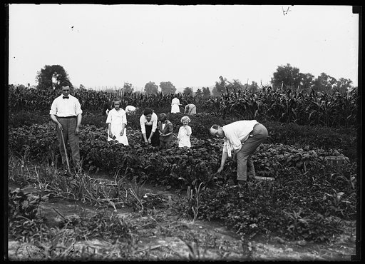 Farm