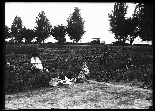 Farm