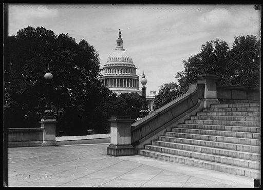 U.S. Capitol, Washington, D.C.