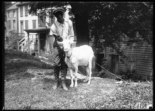 African American man with goat