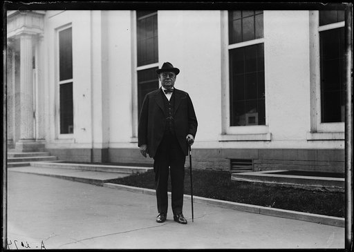 Man at White House, Washington, D.C.
