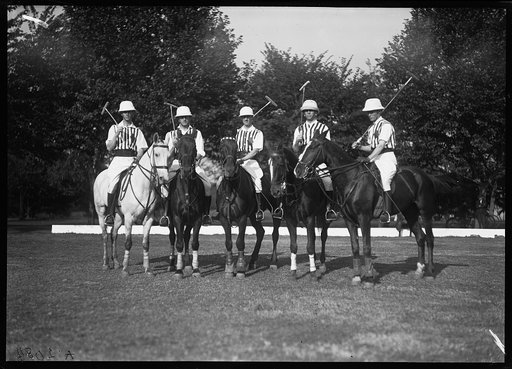 Polo, Fort Myer, Virginia