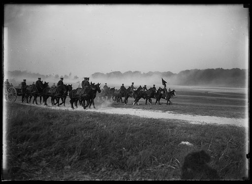 Cavalry