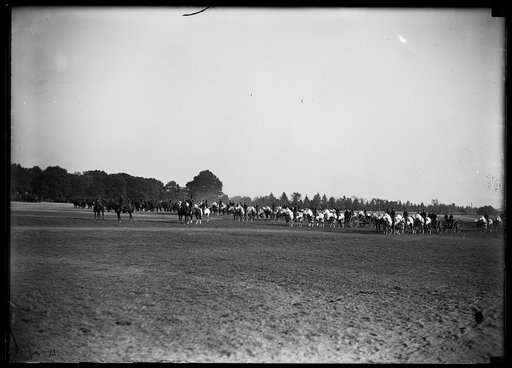 Cavalry
