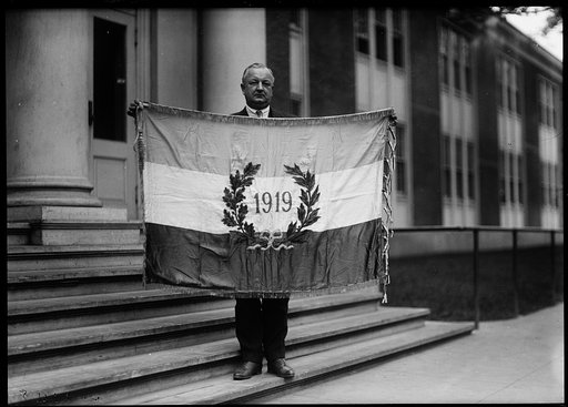 Emmons K. Ellsworth, acting director of the Council of National Defense with flag] "1919"