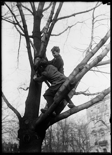 Children with bird house in tree