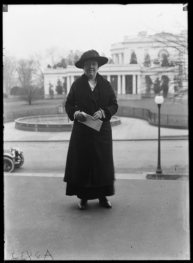 Woman; White House in background. Washington, D.C.