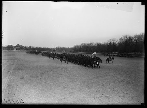 Cavalry